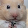 Monedero de hamster wif gun