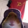 Hamster Tsar