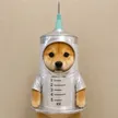 Vaccinu 钱包