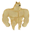 SWOLE DOGE वॉलेट
