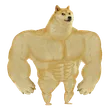 Portafoglio SWOLE DOGE