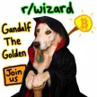 محفظة Gandalf The Golden