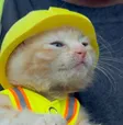 cat wif helmet Wallet