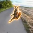 Flying Rabbit Kick Wallet