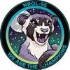 The SpaceX Ferret