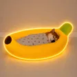 Carteira banana shiba