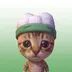 BOB