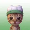 bob