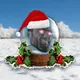 GIGAMAS