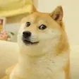 Kabosu 钱包