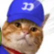 fomocat Wallet