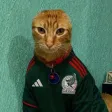 ‌Ví Carlos the Survivor