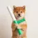 baton