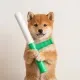 BATON