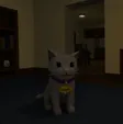 widget 錢包