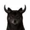 The Black Inu