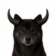 BLACKINU