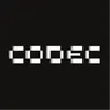 Codec Flow