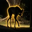 The Black Maned Wolf 钱包