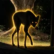 The Black Maned Wolf 钱包