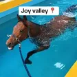 Joy Valley Wallet