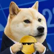HakuCoin वॉलेट
