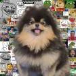 Yeontan 钱包