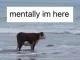 MENTALLY