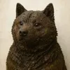 dogshit