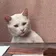 Annoyed
