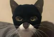 Billetera catwifmask