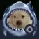 sharkdog