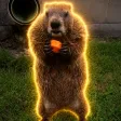 Carteira Sherman the Groundhog