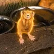 ‌Ví Capybara Duck