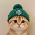 CatGPT