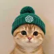 CATGPT