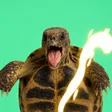Portefeuille Ploddy The Humping Turtle