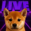 LIVE DOGE TILL 100M