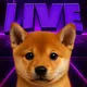 $DOGE