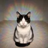 AURACAT