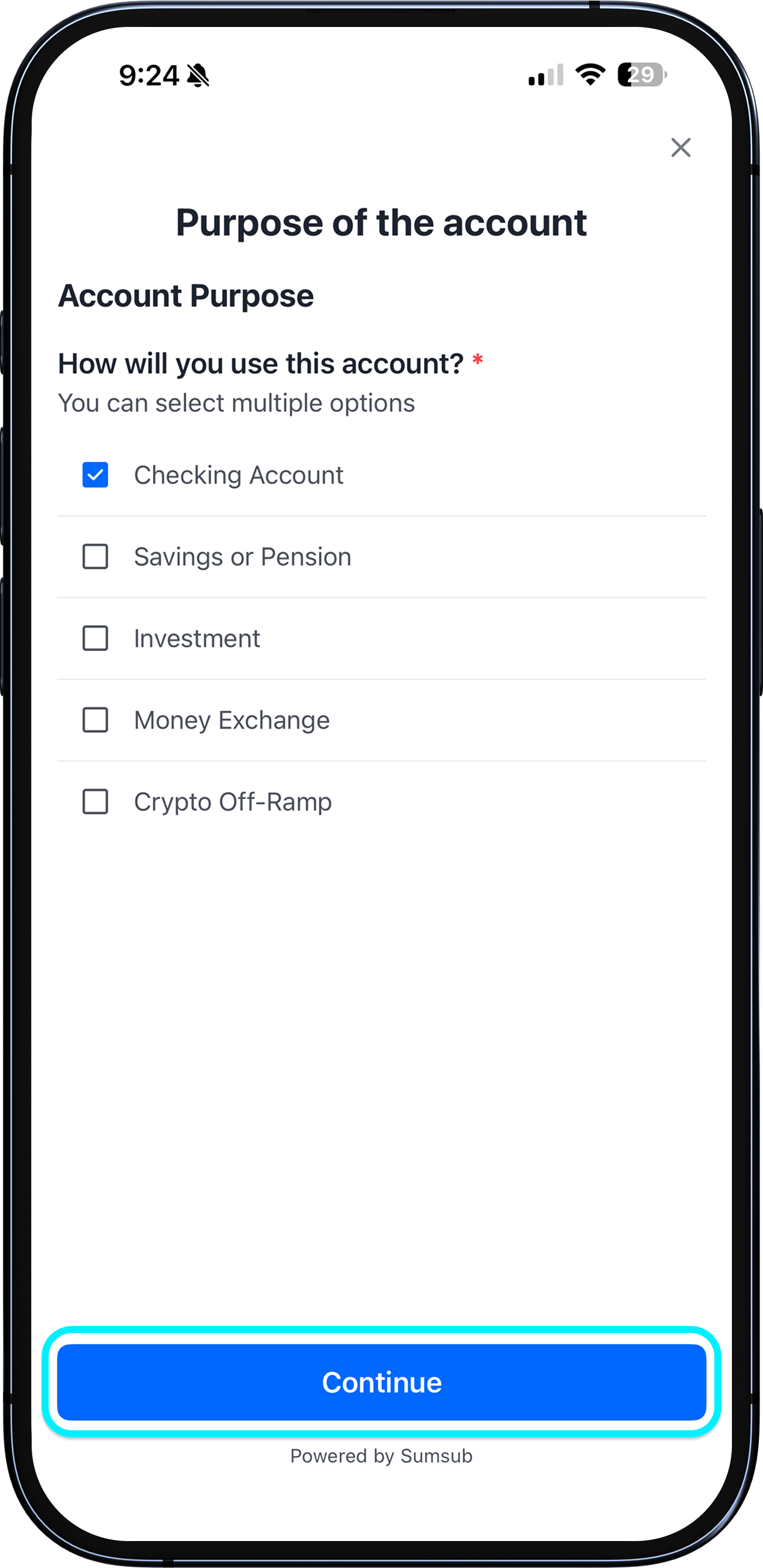 Enter account purpose and occupation