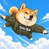 Shiba