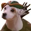 WISHBONE