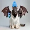 FatCatBatRatWifHat