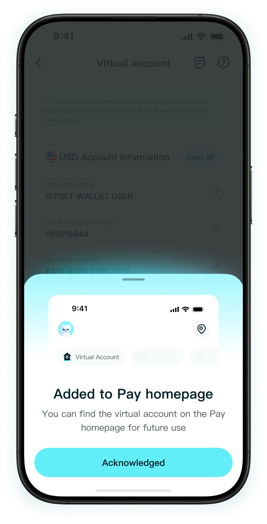 Where can I find my account details?