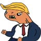 TREMP
