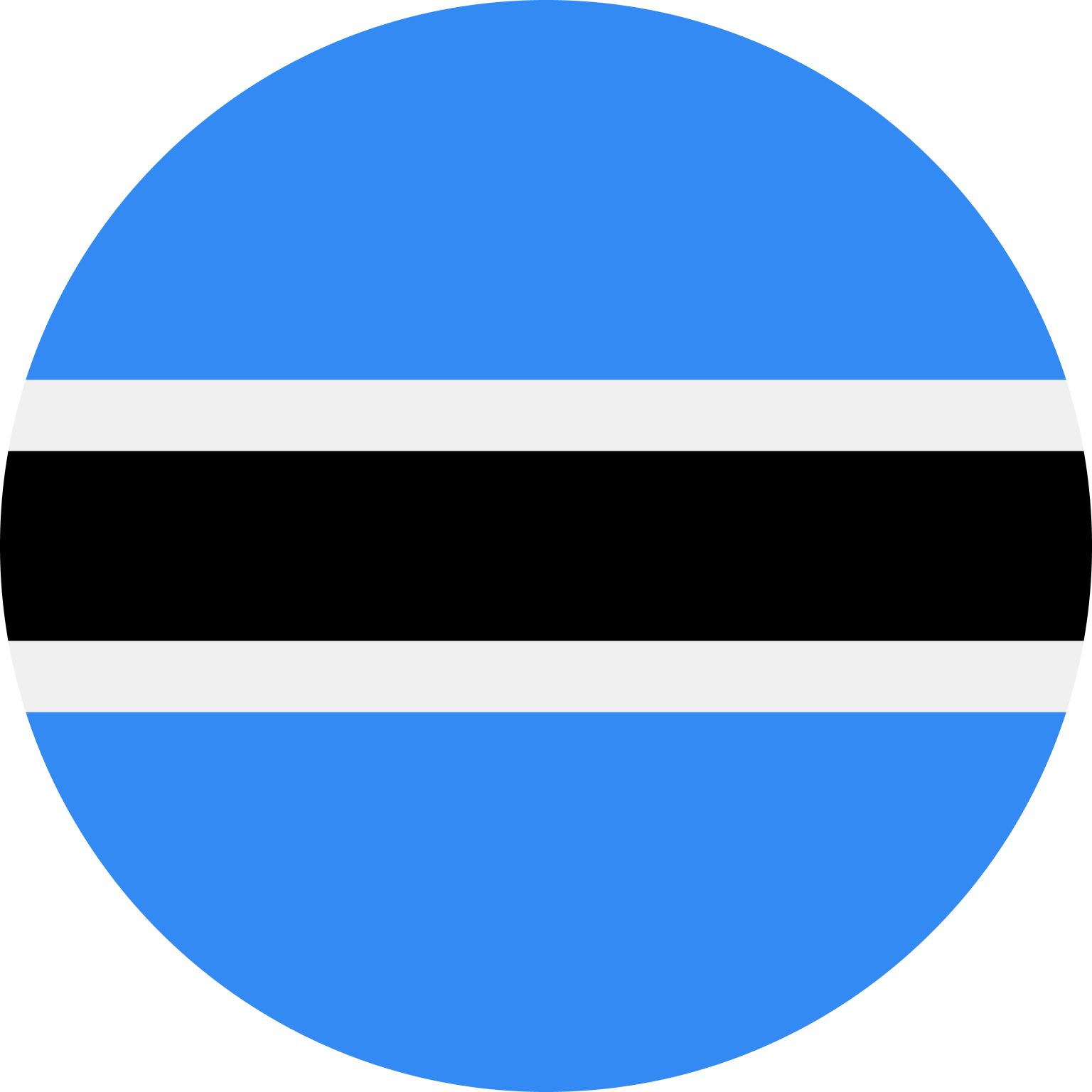 BW flag