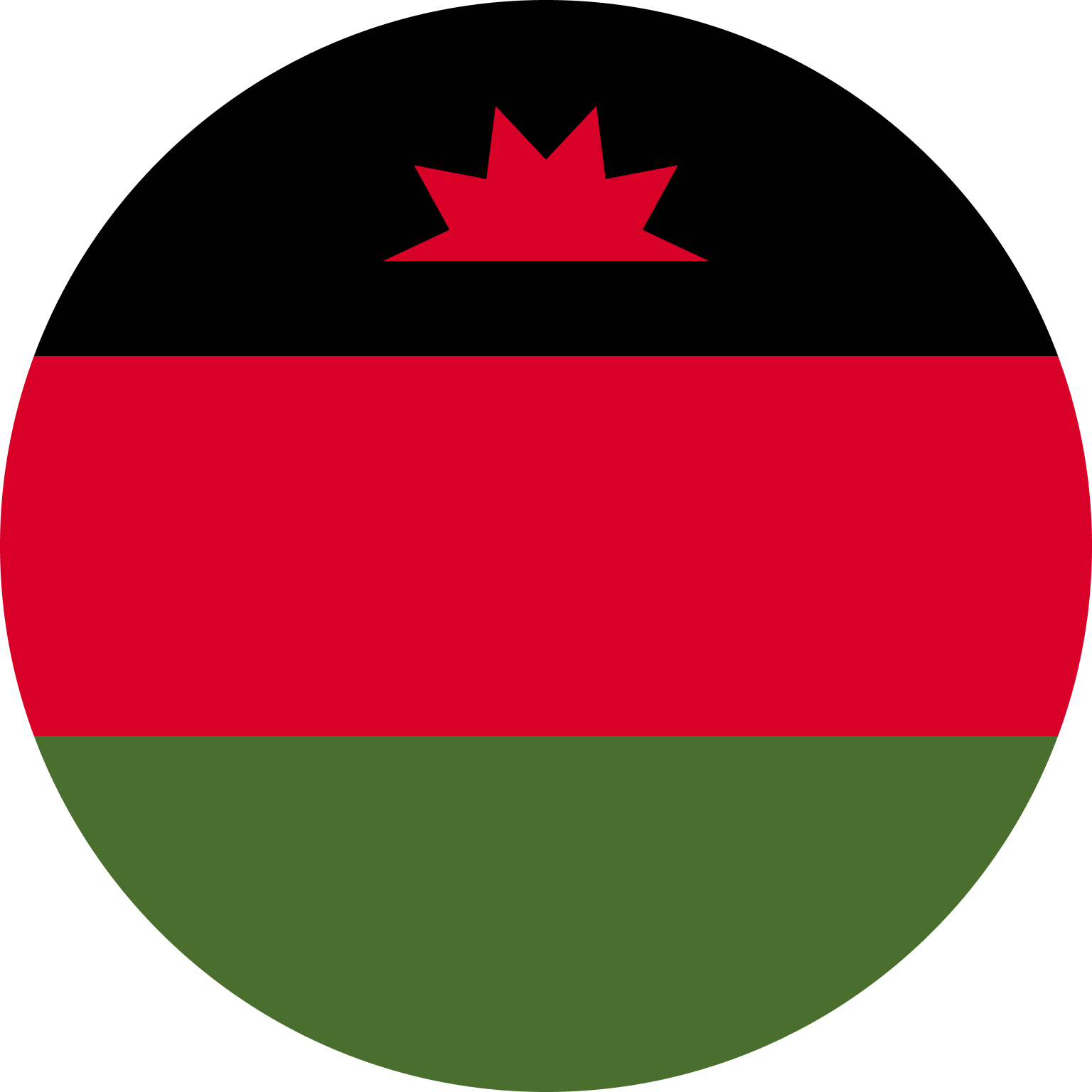 MW flag