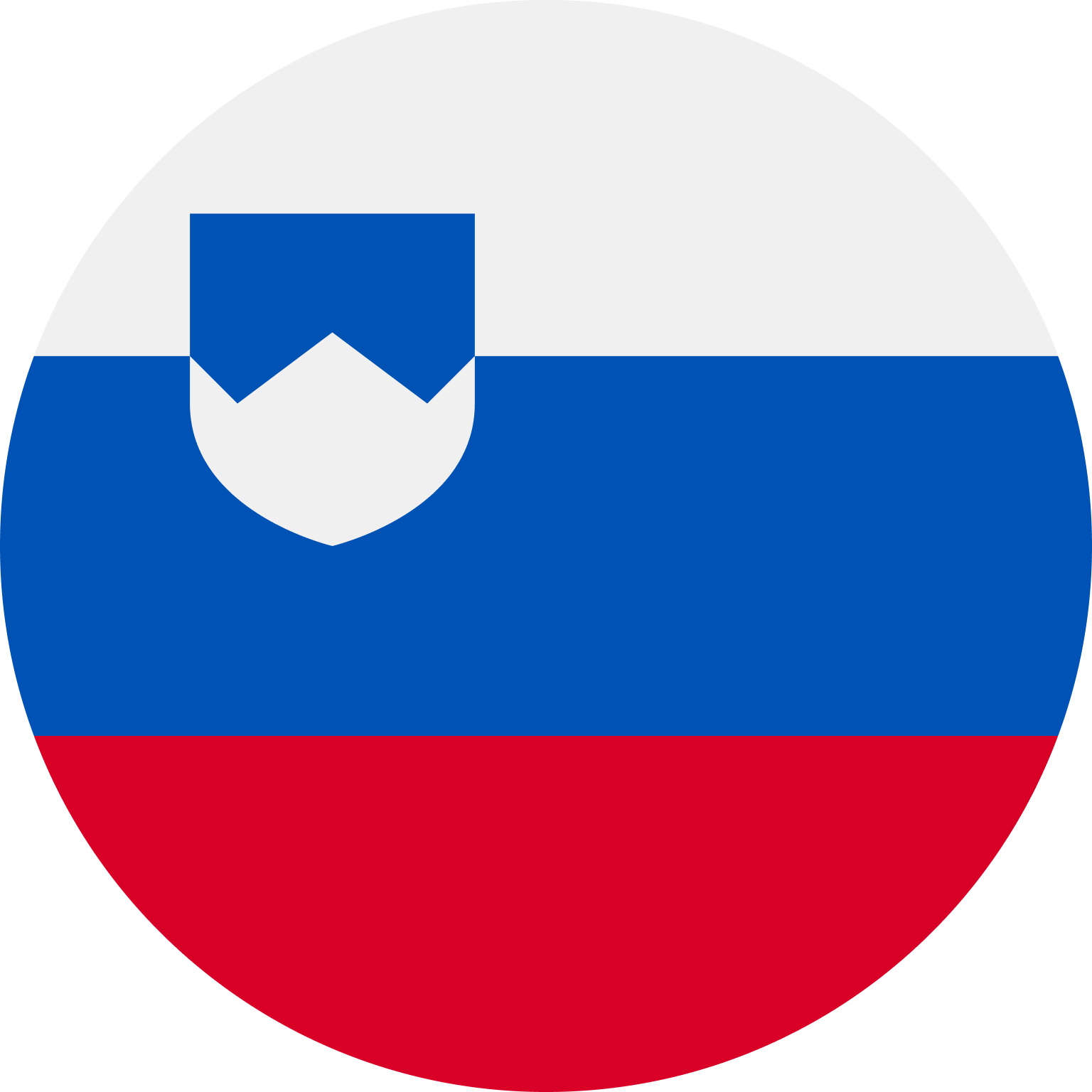 SI flag