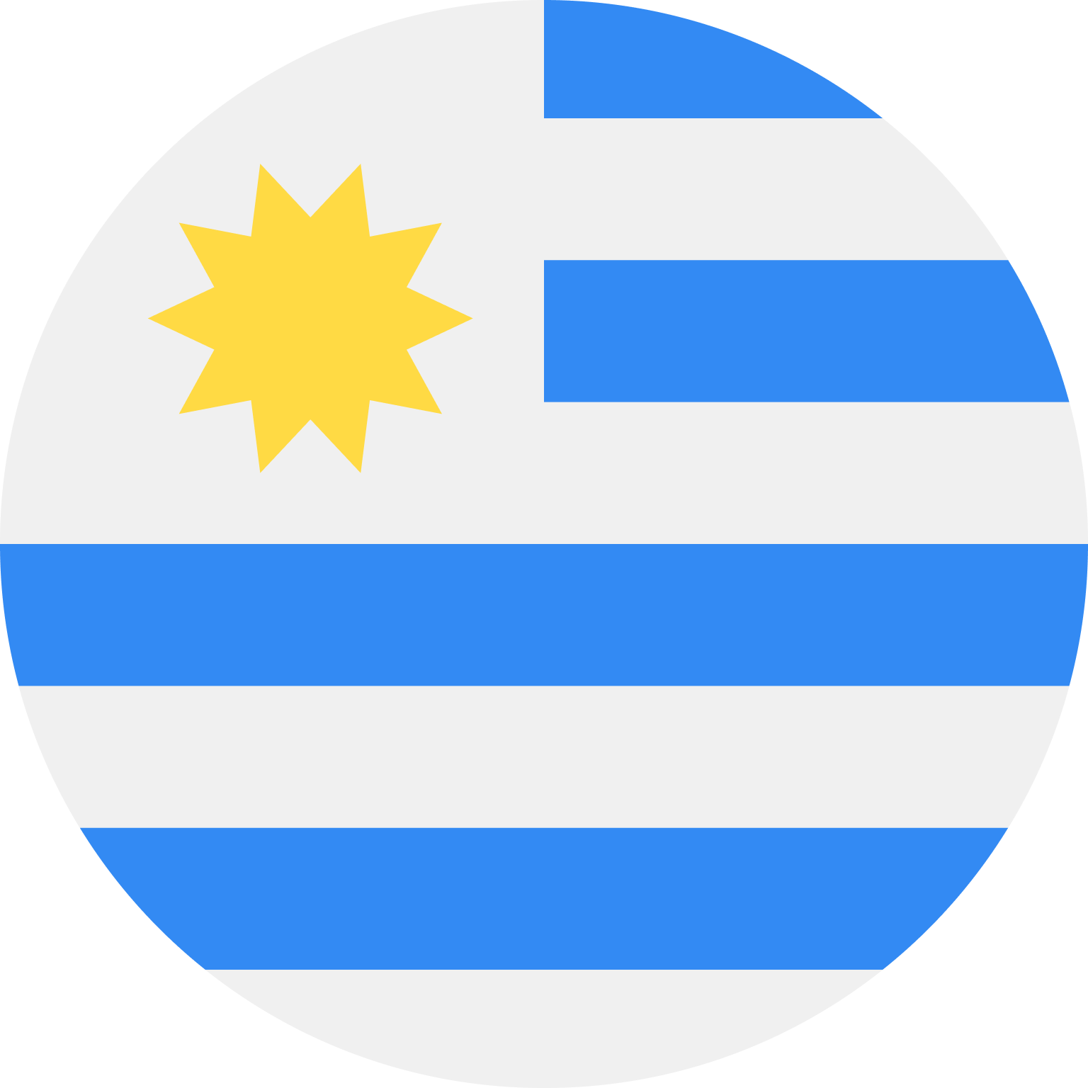 UY flag